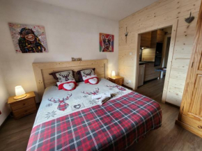 Gîte Myosotis, studio 2 personnes, avec salle de jeux et SPA dans la résidence